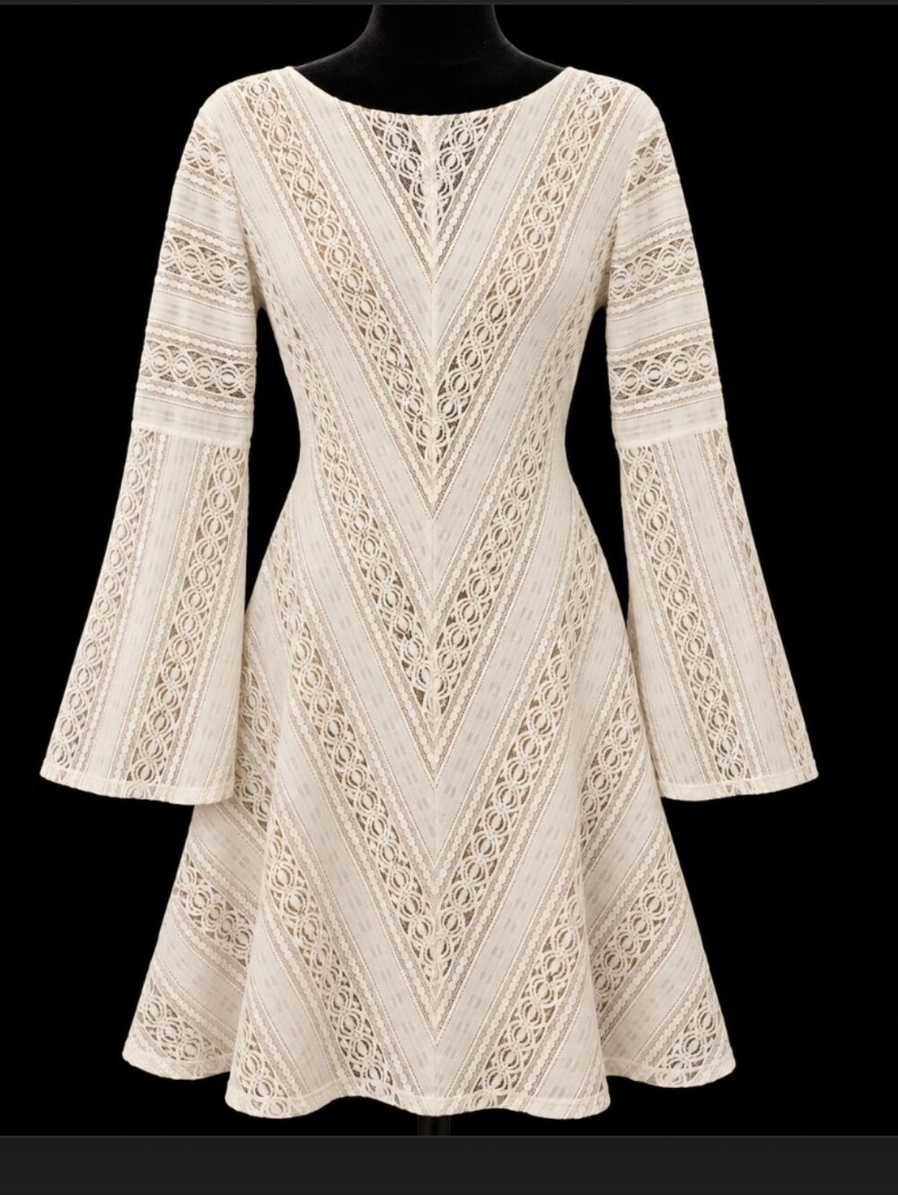 BCBGMaxAzria Ivory Lace A-Line Long Sleeve Dress